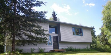 Front Picture Windows and Trees