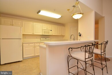 310 Willrich Cir unit L, Forest Hill, MD 21050 - photo 6