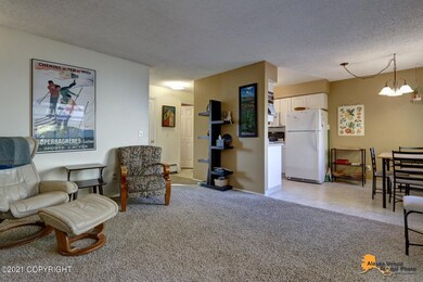 3031 Lois Dr unit 304, Anchorage, AK 99517 - photo 4
