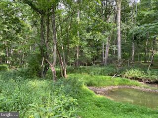 33 Walnut Bottom Hideaway, Moorefield, WV 26836 - photo 3