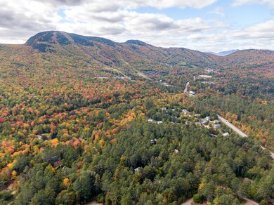 Coombs Lots -2
