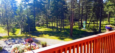 view from front deck