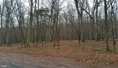 46 Honey Locust Ln, Great Cacapon, WV 25422 - photo 3