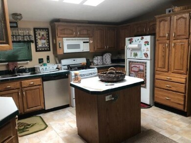 2621 W 11 Mile Ave, Bitely, MI 49309 - photo 6