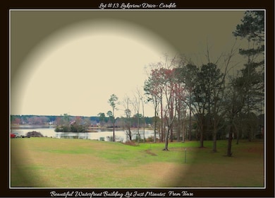 Lot #13 Lakeview Dr, Cordele, GA 31015 - photo 4