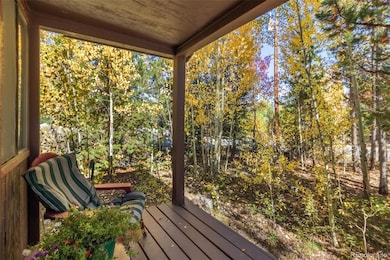 1239 Gcr 49, Grand Lake, CO 80447 - photo 4