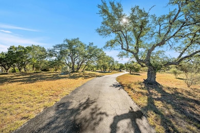12241 Fitzhugh Place unit Lot 10, Dripping Springs, TX 78620 - photo 3