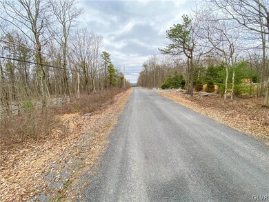 0 Hickory Run Ln unit A130 689941, Jim Thorpe, PA 18229 - photo 3