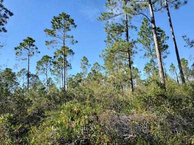 0 SW Prine Rd unit 20907097, Lee, FL 32059 - photo 6