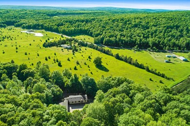 9740 Great Lakes Rd, Boyne Falls, MI 49713 - photo 6