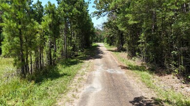 TBD Selma Loop, Georgetown, LA 71432 - photo 2