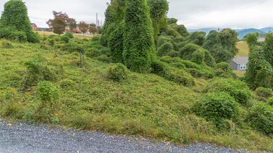 .785 acres Cresthill Dr, Lexington, VA 24450 - photo 7