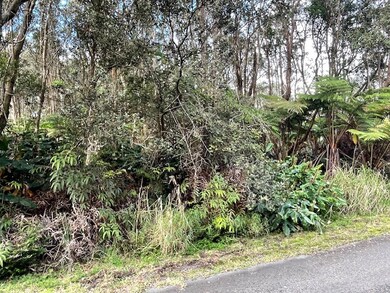 0 3rd St unit 725812, Volcano, HI 96785 - photo 4