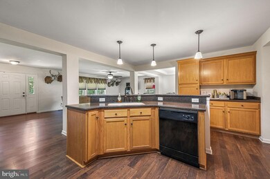 1731 Black Swamp Rd, Felton, DE 19943 - photo 2