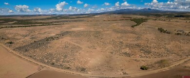 3433 Cr 119, Hesperus, CO 81326 - photo 5