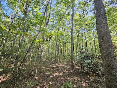 71 Tennessee 108, Gruetli Laagr, TN 37339 - photo 4