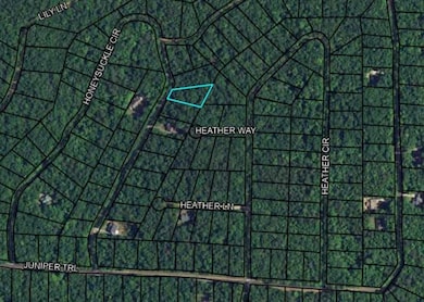 BLK 27 LOT 22 Honeysuckle Cir, Waverly Hall, GA 31831 - photo 3