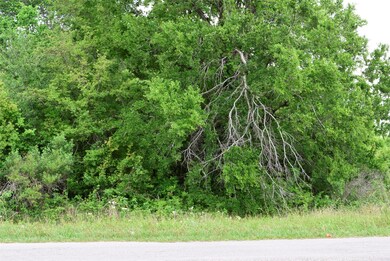 0 Hwy 60 N unit 86510839, Bay City, TX 77414 - photo 5