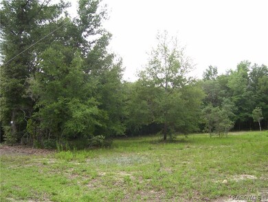 Abundance of trees.