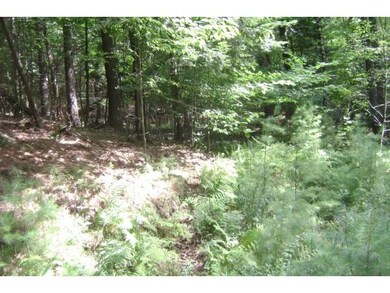 00 Beaver Pond Rd, Lyman, NH 03585 - photo 2