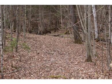 801 Brookfield Rd, Berlin, VT 05602 - photo 5