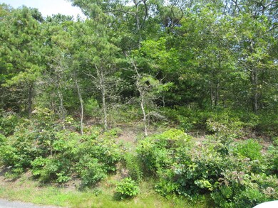 Lot 2