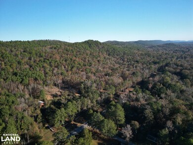 Hwy 11, Pelham, AL 35124 - photo 4