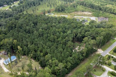 Aerial view of property and surrounding area with a forest