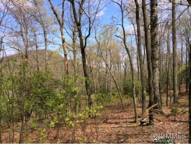 1805 Bella Vista Ct unit 127, Arden, NC 28704 - photo 3