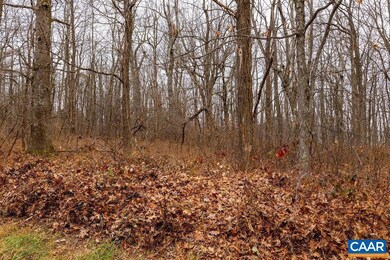 579 Laurel Springs Dr unit PRYOR CAMP II 25, Roseland, VA 22967 - photo 3