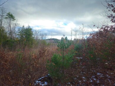 L52 Bridgton Rd, Sweden, ME 04009 - photo 2