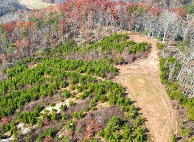 0 Skyland Dr, Greenville, SC 29607 - photo 4