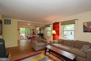 6505 Cockerille Ave, Takoma Park, MD 20912 - photo 7