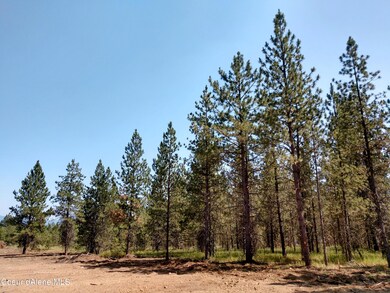 L3B1 N Sheep Springs Rd, Athol, ID 83801 - photo 3