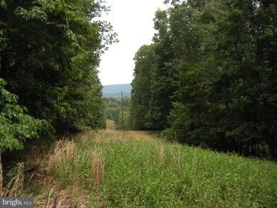 46 ACRES Nettle Ln, Gainesboro, VA 22603 - photo 7