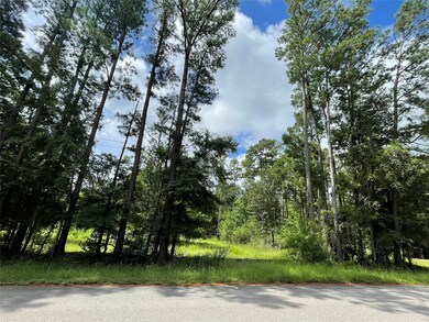 26475 Joseph Rd, Hockley, TX 77447 - photo 3