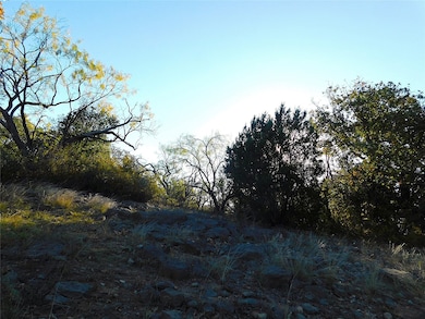 Tract 3 County Road 131, Brownwood, TX 76801 - photo 2