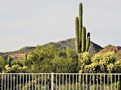 VIEW FROM FAMILY ROOM