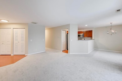 249 W Lynn Dr unit 6, Palatine, IL 60067 - photo 3