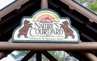 22 Davis Walker Ridge, Mineral Bluff, GA 30559 - photo 3