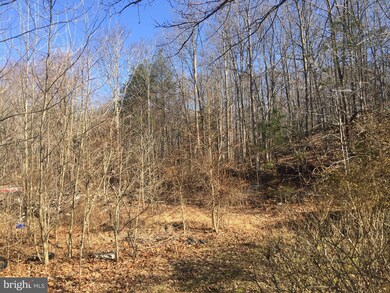 21 Willies Ln, Stafford, VA 22554 - photo 3