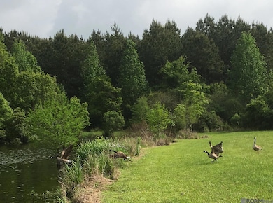 B-1-A Old Scenic Hwy, Zachary, LA 70791 - photo 2