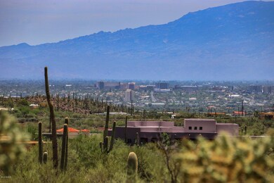 IMG_0250