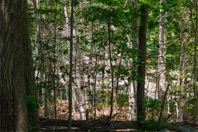 6 Rams Head Ln, York, ME 03909 - photo 7