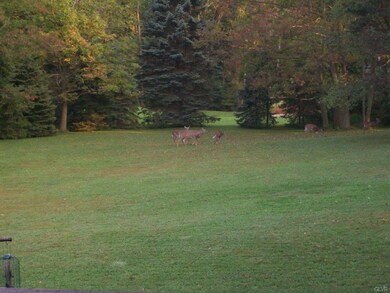 6431 Crown Ln, Zionsville, PA 18092 - photo 5