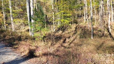 000 Cabin Hill Rd, Green Mountain, NC 28740 - photo 7