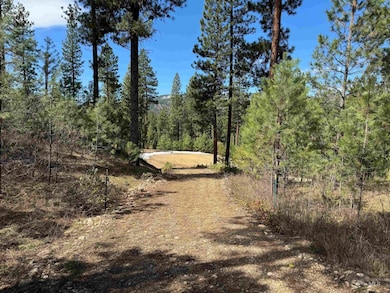 Lot 24 Block 1 Elk Run, Idaho City, ID 83631 - photo 7