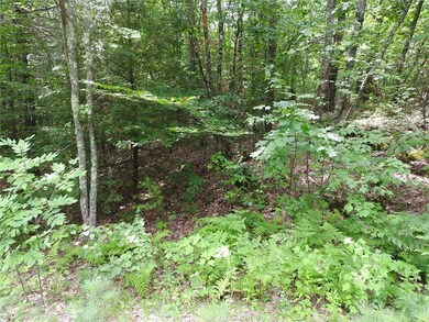 0 Rocky Dunn Rd unit 1321613, Baldwin, ME 04024 - photo 3