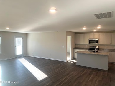 191 Buggy Top Ln, Autryville, NC 28318 - photo 4