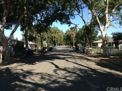 Tree Lined Street